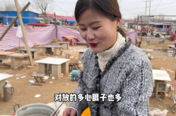 小姐姐每天炒菜视频大全,小姐姐教你轻松烹饪美食秘籍