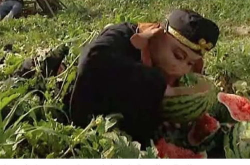 娱乐吃瓜西游记,西游记中的那些幕后趣闻与经典瞬间