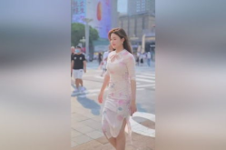 旗袍小姐姐在线看,在线欣赏旗袍小姐姐的风采