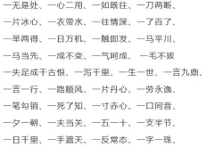 为开头的成语,概而言之