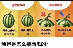 市民搭客正在海南澄迈履历挖瓜趣味及游戏主播艾琳相信擦边热舞结果换来满屏“差评”网友：超管都懒得告诫！及爆款行动+超多新玩法！海口“五一”出游筹划→-韩国性侵门吃瓜最全合集：韩国总统文正在寅的复仇！挖挖