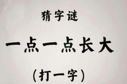 双方大一点结合打一字,共创辉煌——双方大一点结合的启示与展望”