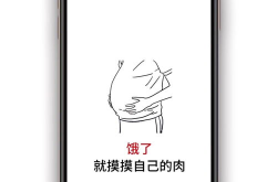 手机图片壁纸2021最火,色彩斑斓与个性定制