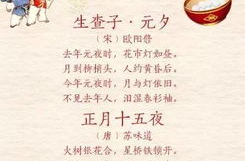 元宵节的诗句 古诗,诗意元宵情