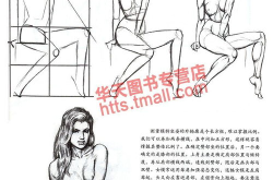 人体模特比例画法,从基础到实践