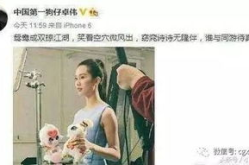 娱乐吃瓜刘诗诗,刘诗诗的娱乐圈光影之旅