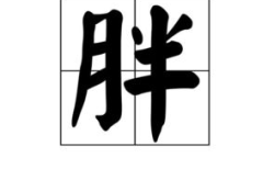 十五日打一个字,十五夜话”
