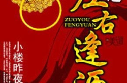 官运小说,命运与智慧的较量