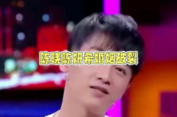 娱乐陈晓吃瓜视频,炒作还是真相？