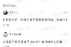 娱乐吃瓜君视频论文,揭秘网络娱乐现象背后的真相与影响