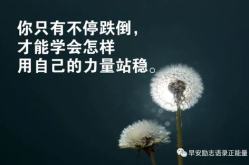 正能量的句子经典简短,点亮生活之光