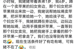 到了三十放一月打一字,解谜汉字“葫”的智慧之旅