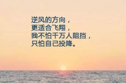 女人正能量图片大全,正能量图片大全中的励志瞬间